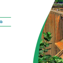 مدينة نجران