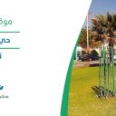 حي الفهد - نجران