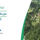 مزرعة الدهامي - البدائع