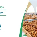 مدينة التمور - بريدة