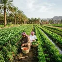 معارض زراعية