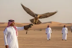 مهرجان الملك عبدالعزيز للصقور 2026